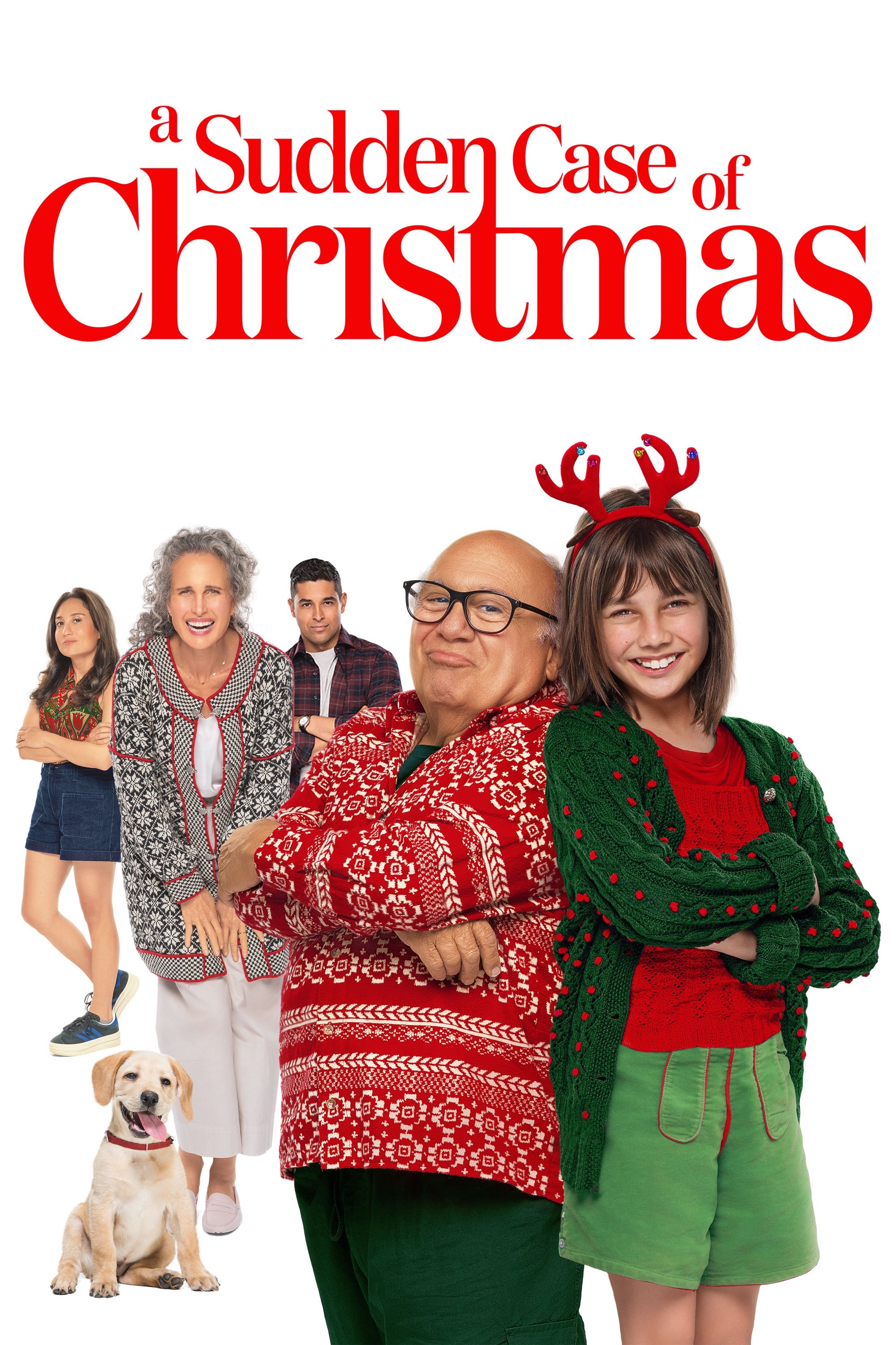 Постер A Sudden Case of Christmas